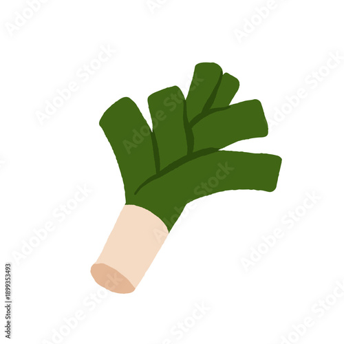 Collection of various vegetables isolated on white background. Healthy vegetarian food. Bundle of organic natural crops, salads, greens and herbs. Colorful vector illustration in flat cartoon style