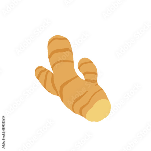 Collection of various vegetables isolated on white background. Healthy vegetarian food. Bundle of organic natural crops, salads, greens and herbs. Colorful vector illustration in flat cartoon style