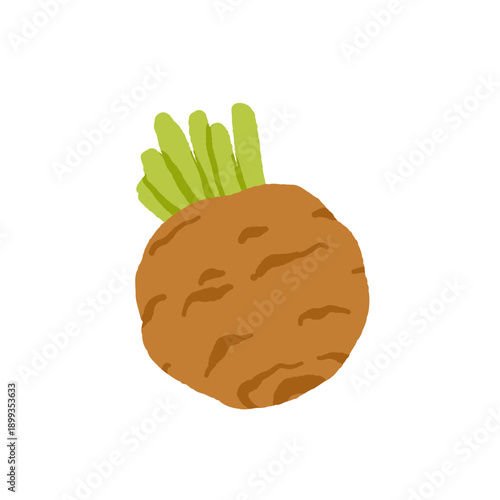 Collection of various vegetables isolated on white background. Healthy vegetarian food. Bundle of organic natural crops, salads, greens and herbs. Colorful vector illustration in flat cartoon style