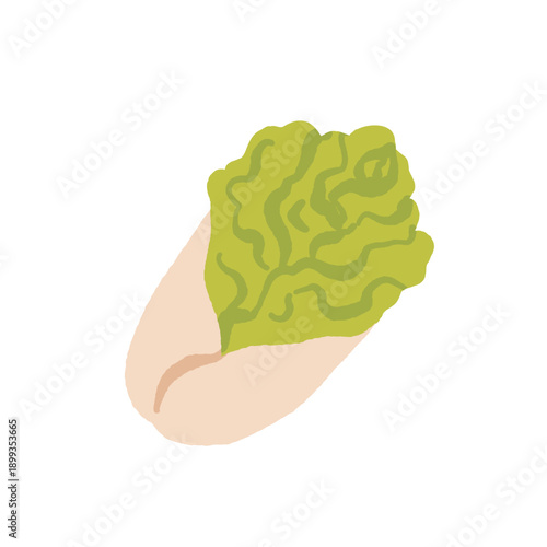 Collection of various vegetables isolated on white background. Healthy vegetarian food. Bundle of organic natural crops, salads, greens and herbs. Colorful vector illustration in flat cartoon style