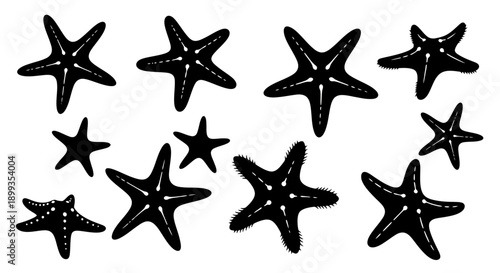 Vector silhouette illustrations of starfish in various poses and orientations.