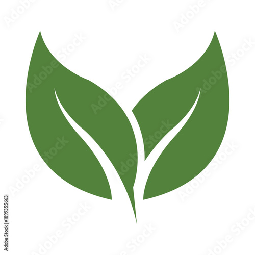 Clean And Elegant Nature Inspired Logo With Timeless Style