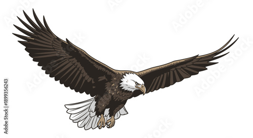 Illustration of a flying bald eagle with wings spread wide.