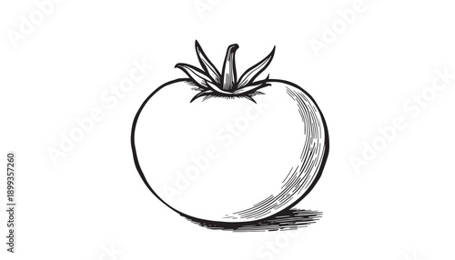   
Hand drawn sketch of tomato with leafy stem and shading in black and white style isolated on white for food design use