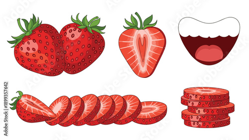 Detailed illustrations of fresh strawberries presented as whole berries, halves, slices, and stacked segments on a white background.