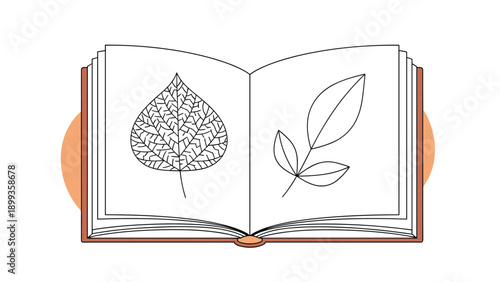 Open book showing two different types of tree leaves in a detailed black and white line art drawing for botanical studies.