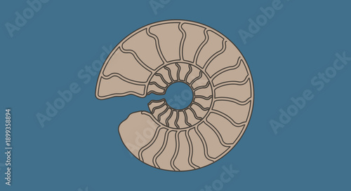 Vintage vector illustration of a human head with a skull featuring an ammonite spiral pattern and a brown mandala flower design