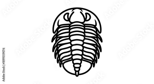 A macro, black and white close up of a feather duster reveals an isolated, prehistoric texture resembling a Cambrian trilobite fossil or an old marine arthropod shell against a white stone