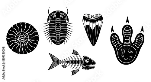 Vector illustration of a black silhouette pattern set featuring abstract flowers, sea fish, and nature elements in a cartoon tattoo art style