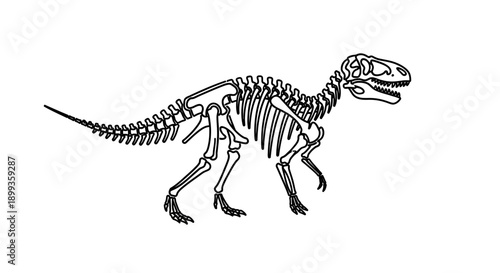 Isolated 3d render of a gigantic Tyrannosaurus rex skeleton fossil, a prehistoric creature and extinct Jurassic reptile illustration on a white background
