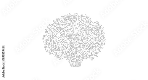 Hand drawn vector illustration of a pencil sketch on white paper featuring a winter nature scene with a frost covered tree branch and Christmas flower decorations in black and white
