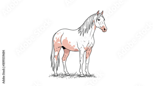Realistic illustration of a white horse with light brown spots standing in a field of grass with its mane and tail flowing.