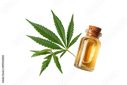 Cannabis leaves and amber oil bottle
