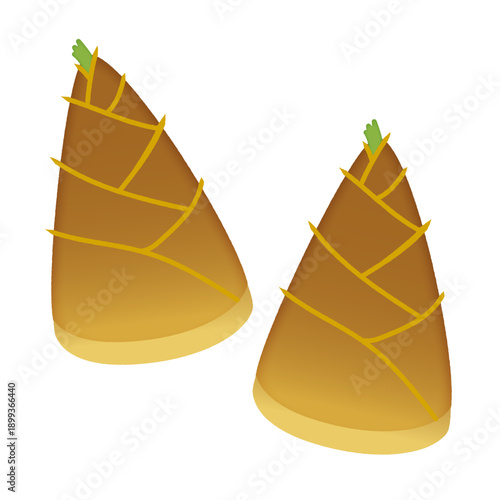 たけのこのイラスト/Bamboo shoot illustration