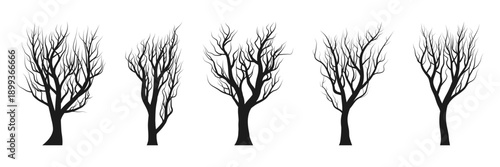 black bare tree silhouette collection for nature design use