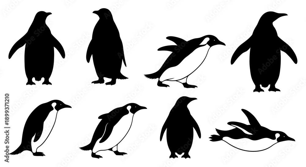 Obraz premium Vector silhouette illustrations of penguins in various poses, including standing, walking, skating on ice, and swimming.