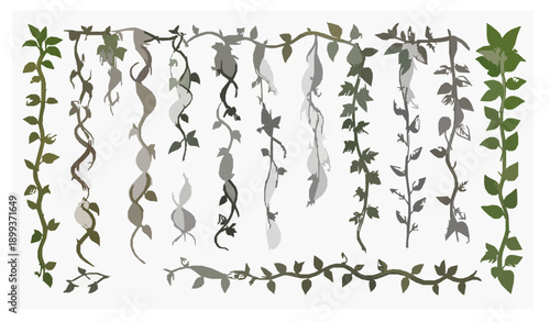Hand Drawn Jungle Vine Liana Botanical Vector Set
