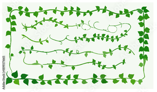 Minimal Tropical Vine Liana Vector Decorative Set