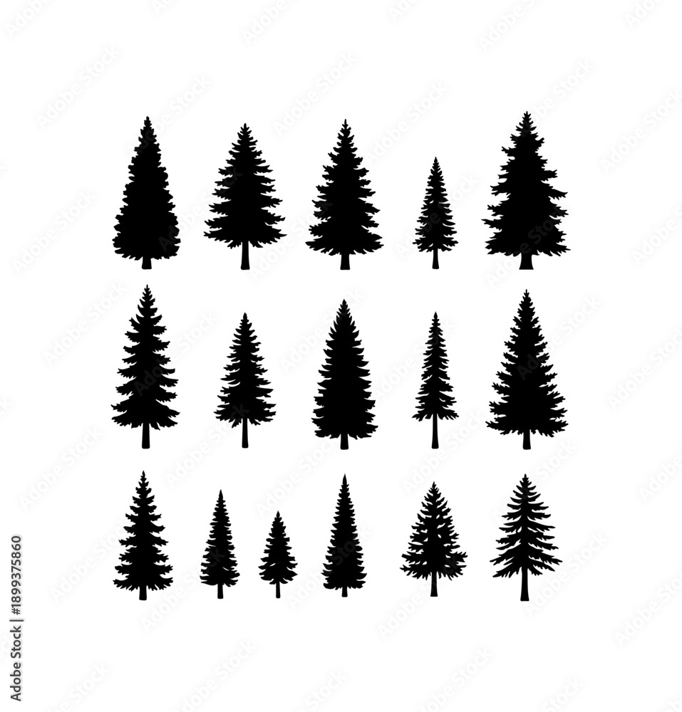 Obraz premium Black Silhouette Forest Tree Collection