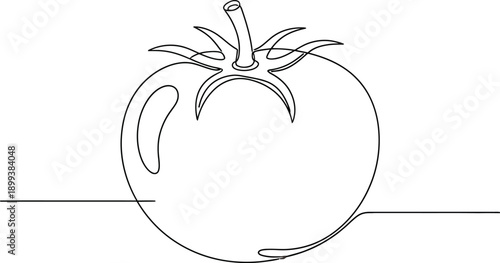 Minimalist Continuous Line Tomato Illustration
