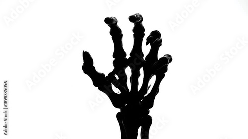 Silhouette of a skeleton hand reaching up against a white background