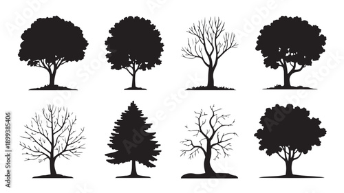 Various Tree Silhouettes Deciduous and Coniferous Black Vector Illustration Isolated on White Background