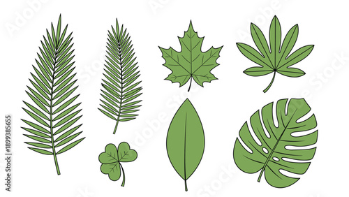 Diverse assortment of lush green leaves, showcasing various shapes and textures, including palm fronds, maple, clover, and monstera plants.