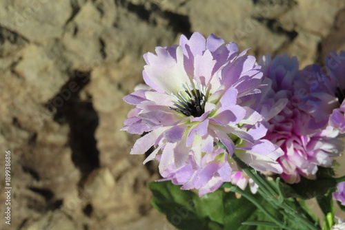ライラックの花