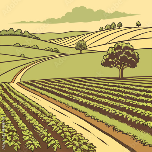 Organized Rural Farmland Divided into Neat Agricultural Fields