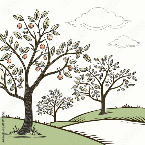 Orchard Trees with Early Fruits Forming Outline Vector Art
