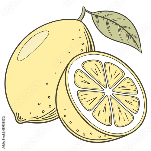 Fresh Yellow Lemon with One Half Cut - Citrus Fruit Vector