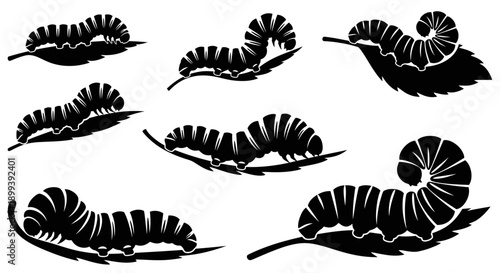 Vector silhouette illustration of a caterpillar in various poses, crawling, curled up, and resting on a leaf.