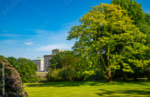 Panorama of a spacious park with blooming rhododendron bushes, stately trees, and fresh green meadows in a hilly landscape near Lake Baldeney in Essen-Bredeney in the Ruhr region (Germany). 