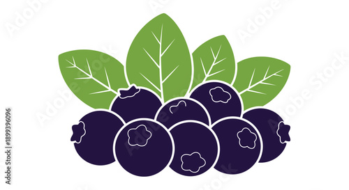 Stylized illustration of a cluster of ripe blueberries with green leaves
