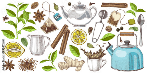 Tea hand drawn vector set with leaves, spices and tableware
