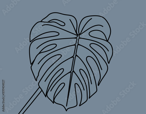 Monstera Deliciosa Leaf Line Art Illustration.
