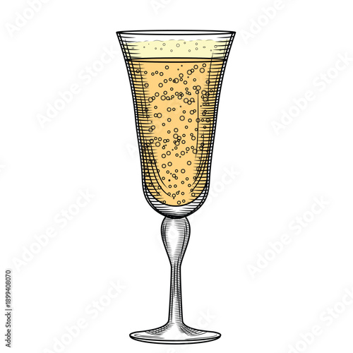 Tulip flute champagne glass hand-drawn vector illustration in line art style. Retro sparkling wine sketch. Flirty festive drink. Vintage engraving for bars and menus.