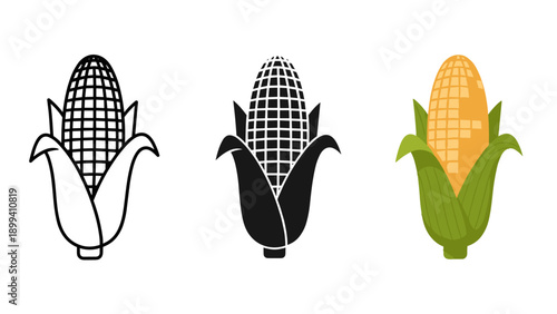 Three illustrations of corn on the cob in different styles Vector