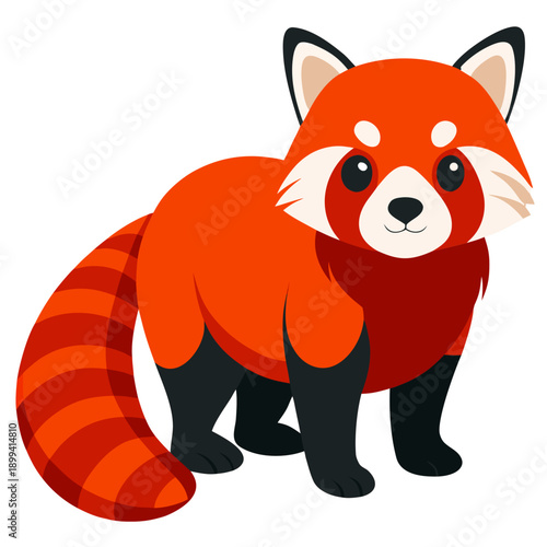 a red panda featuring bright orange-red fur, a white and dark reddish-brown face with black eyes, black legs, pointed ears with white inner fur, and a distinctive bushy striped tail.