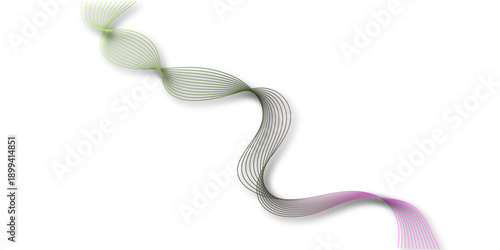 green onion isolated on white