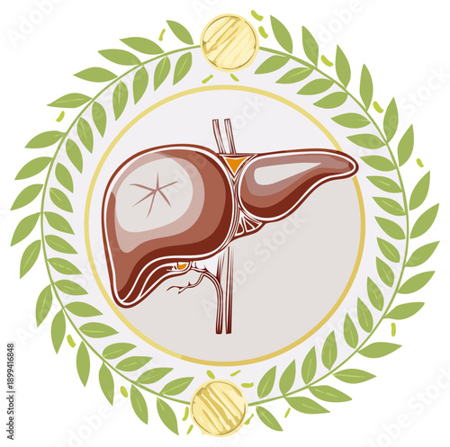 Stylized anatomical human liver illustration inside a decorative green laurel wreath