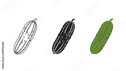 Three cucumbers in different stages of illustration Vector