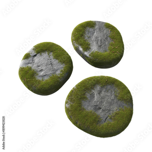 Wallpaper Mural Three Round Stones Covered With Moss And Isolated On Black Torontodigital.ca