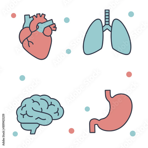 Human internal organs icons set with heart lungs brain and stomach in flat outline style for medical healthcare and educational biology posters