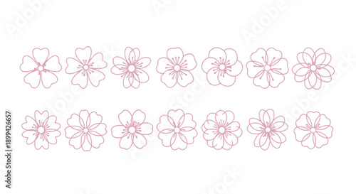 A collection of delicate line art illustrations of various cherry blossom flower designs, presented in two rows against a white background.