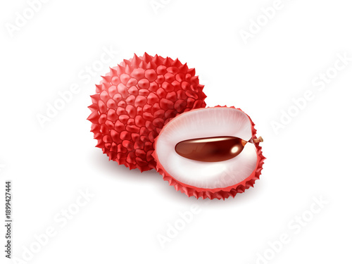 Detailed peeled lychee fruit 3d realistic vector illustration with whole and sliced pieces isolated on white background highlighting exotic texture freshness and juicy interior