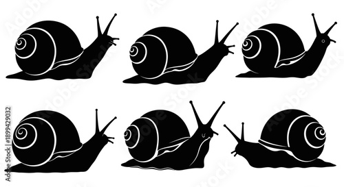 Vector silhouette illustration of a snail (conch) in various poses, crawling slowly with a clearly visible spiral shell.