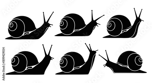 Vector silhouette illustration of a snail (conch) in various poses, crawling slowly with a clearly visible spiral shell.