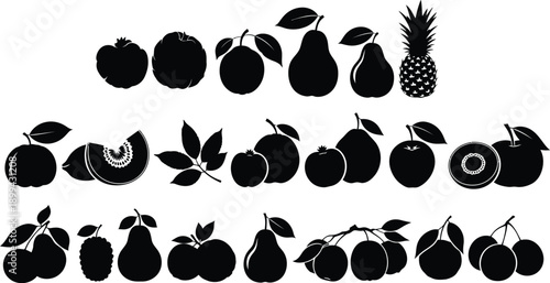 Variety of fruits in three rows