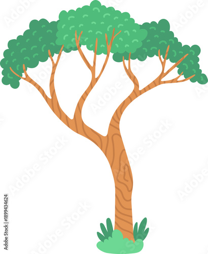 Green Tree Plant Illustration